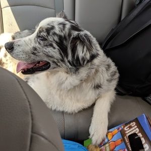 Meet your Posher, Nowelle